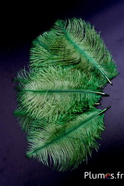 Autruche - 13-18 cm - kaki
